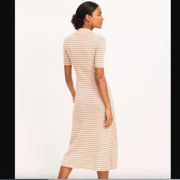 Petite Stripe Ribbed Collared Midi Sweater Dress - Picture 9 of 10